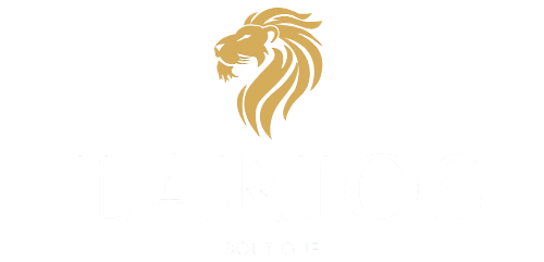 lariosboutique.com